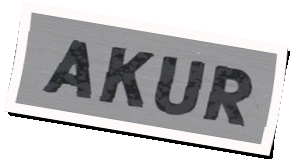 Logo Akur