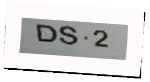 Logo DS-2