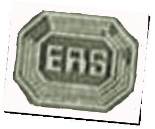 Logo ERS