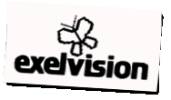 Logo Exelvision
