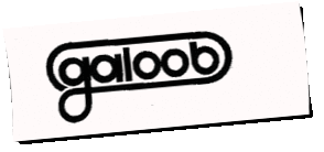 Logo Galoob