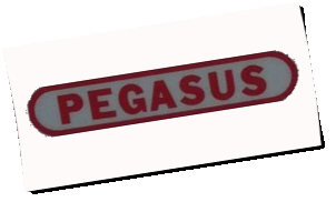 Logo Pegasus