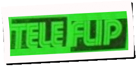 Logo TeleFlip