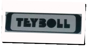 Logo Teyboll