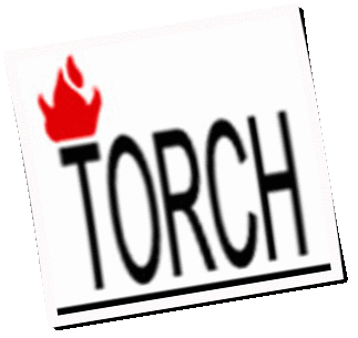 Logo TorchComputers