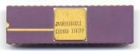 AMD 8080